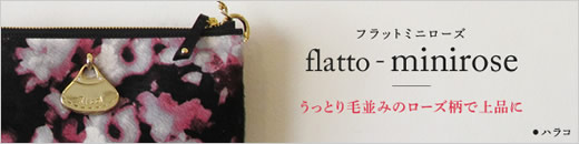 flatto-minirose